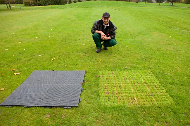 Belüftung und Licht verhindern Absterben der Grunfläche bei längerer Abdeckung